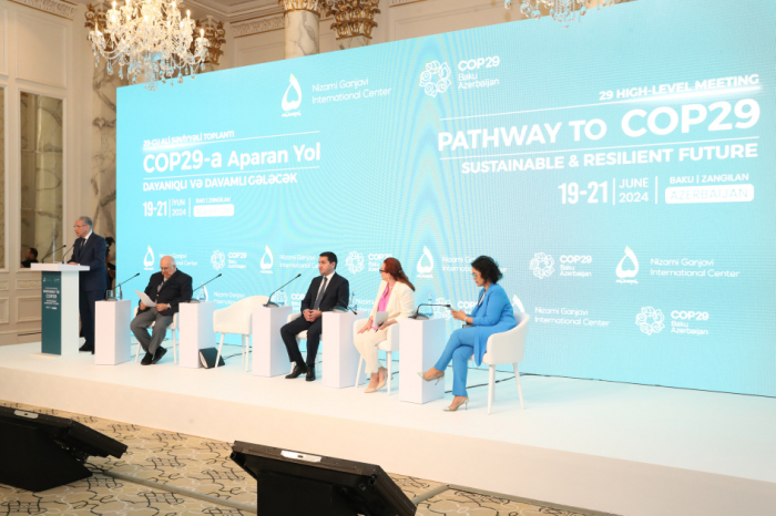   29th High-Level Meeting themed “Pathway to COP29: Sustainable and Resilient Future” kicks off in Baku  