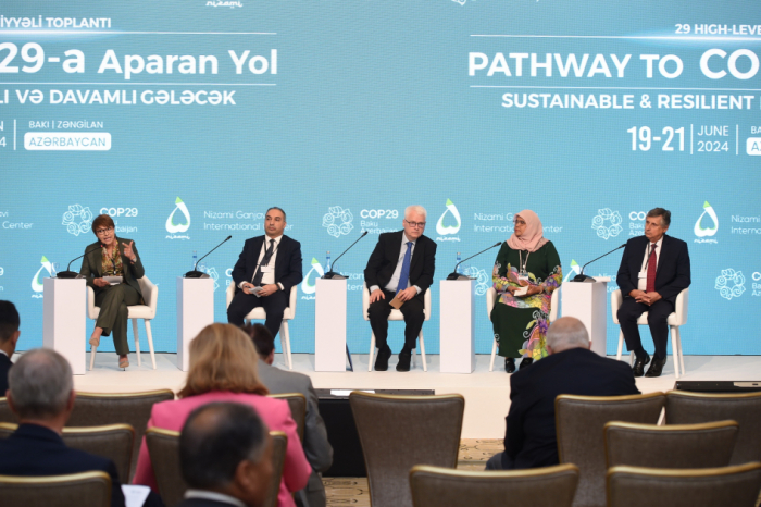   Baku-hosted High-Level Meeting features discussions on balancing, mitigation, adaptation and resilience  
