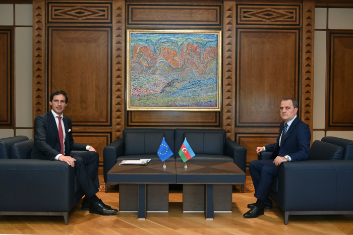 Discussions held on cooperation in implementing Azerbaijan