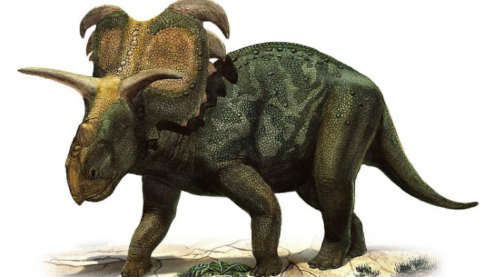   Neue Dinoart mit außergewöhnlichen Hörnern entdeckt  