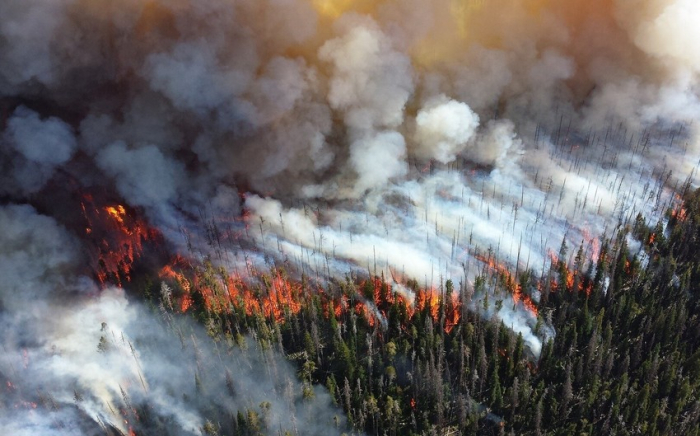   In Jakutien brennen 460.000 Hektar Waldfläche  