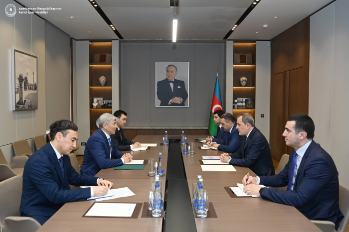   Azerbaijani FM receives newly appointed Kyrgyz ambassador    