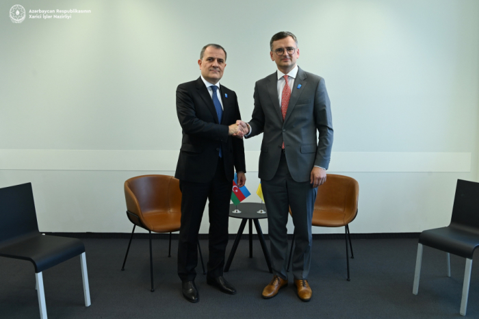   Azerbaijan, Ukraine discuss cooperation agenda, regional situation   