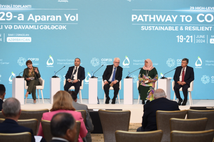   Baku-hosted High-Level Meeting on COP29 features discussions on balancing, mitigation, adaptation and resilience  