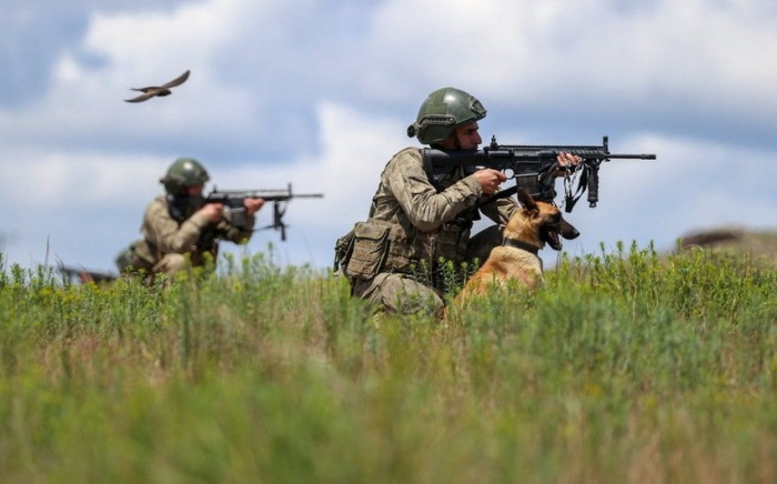   Türkische Armee tötete neun Terroristen  