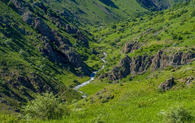    Baş nazirdən Zəngəzur Milli Parkı ilə bağlı    -     Qərar    