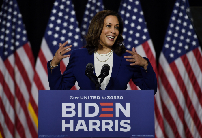 USA : Kamala Harris obtient le soutien des chefs démocrates au niveau étatique