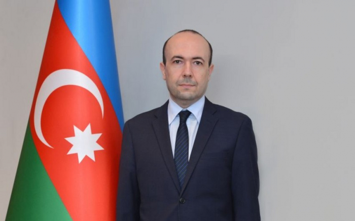   Azerbaijan, Bulgaria maintain dynamic relations - Deputy FM   