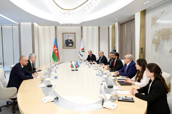   Es wurde die Frage der Energiekooperation zwischen Aserbaidschan und Bulgarien besprochen  