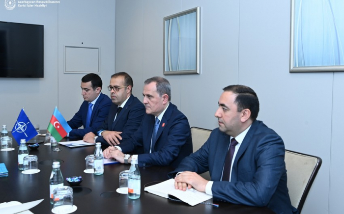   Azerbaijan interested in establishing regional peace, stability - FM  