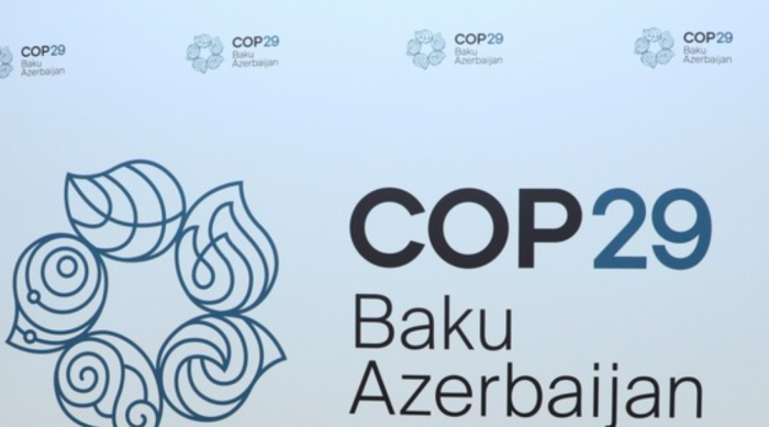   Azerbaiyán comenzó a emitir visas especiales electrónicas a los participantes de la COP29  