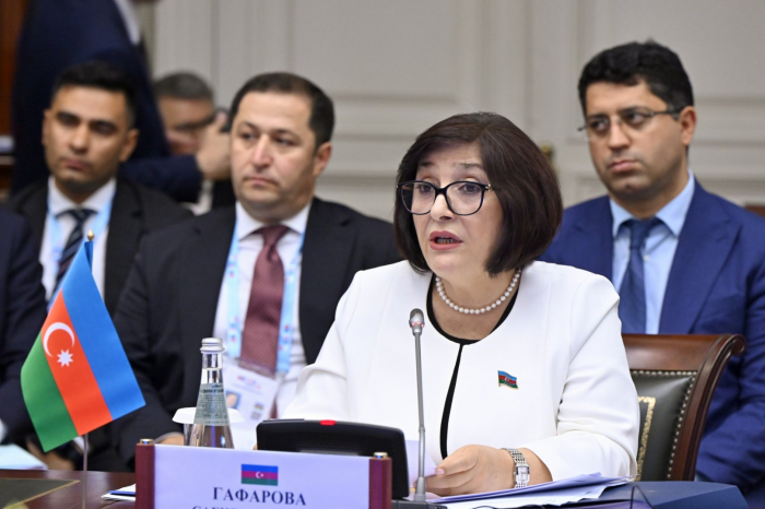 Azerbaijani parliament Speaker attends CIS IPA Council meeting 