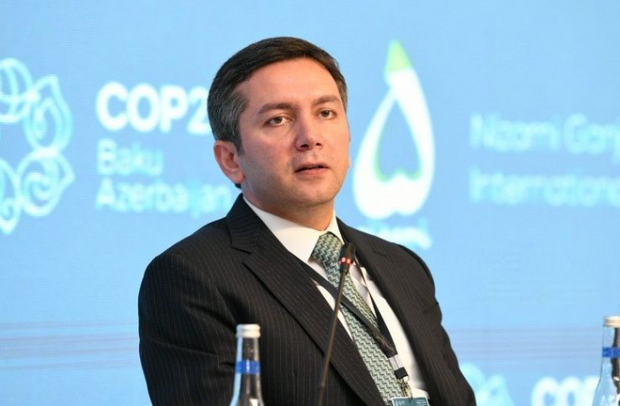  COP29 chief negotiator: Azerbaijan committed to accelerating transition to clean energy 