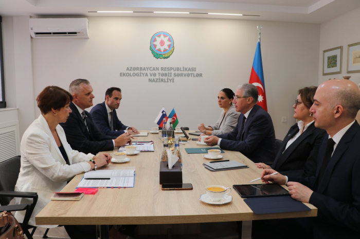 Azerbaijan and Slovenia talk preparations for COP29