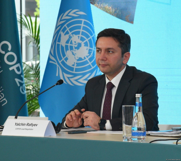 Azerbaijan proposes to approve establishment of Climate Finance Action Fund at COP29