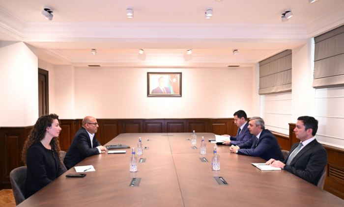 Head of Presidential Administration Samir Nuriyev meets with Executive Secretary of UN Framework Convention on Climate Change