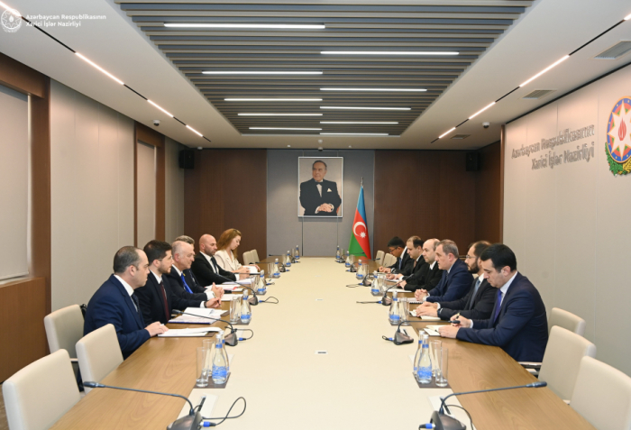 Azerbaijan`s Foreign Minister meets with Director-General of Israeli Foreign Ministry