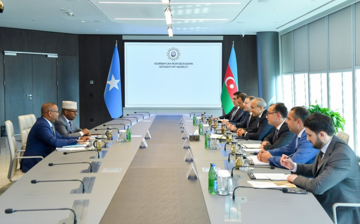   Azerbaijan, Somalia discuss opportunities for energy collaboration  