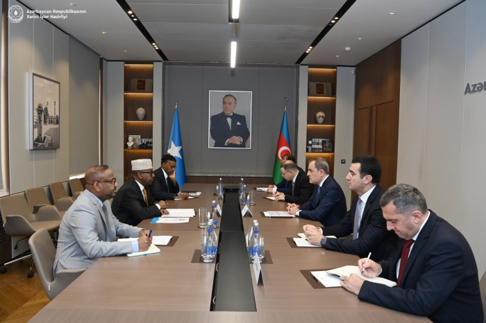   Azerbaijani, Somalian FMs discuss cooperation prospects  