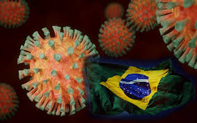 Brazil records first-ever Oropouche fever deaths