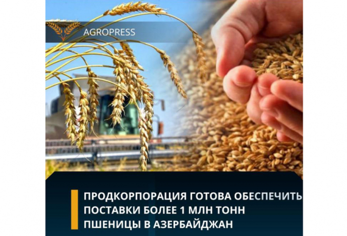  Kazajistán planea suministrar a Azerbaiyán más de 1 millón de toneladas de trigo 