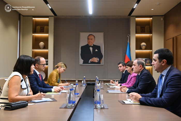 Azerbaijani FM holds talks with OSCE observation mission representative