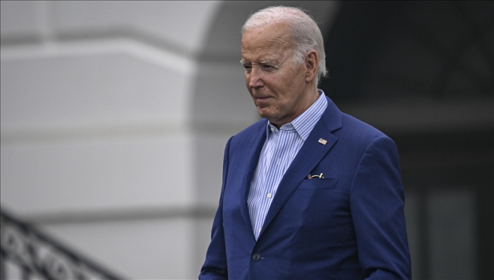 Biden tells Democrats he is 