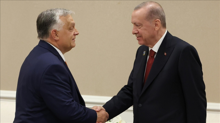 Turkish president, Hungarian premier discuss ties, regional issues