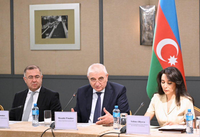   Azerbaijan CEC: 25 political parties to participate in parliamentary elections for first time  