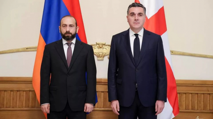       Darçiaşvili:    "Delimitasiya prosesini alqışlayırıq"   