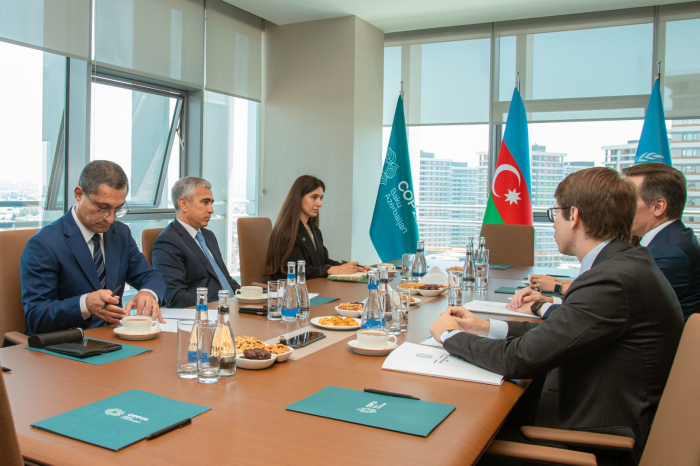 Azerbaijan, Italy discuss joint projects