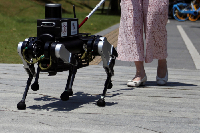 Çin gözdən əlillərə bələdçilik üçün robot itlər hazırlayacaq