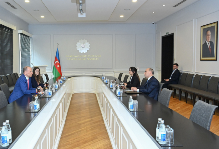 Azerbaijan, Switzerland discuss prospects for educational cooperation