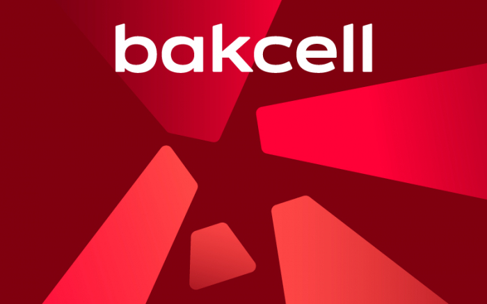 “Bakcell”in dəstəyi ilə qadınlar üçün İKT üzrə təlimlər başladı  
