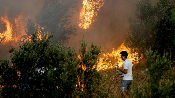 Türkiyədə meşə yanğınları başladı