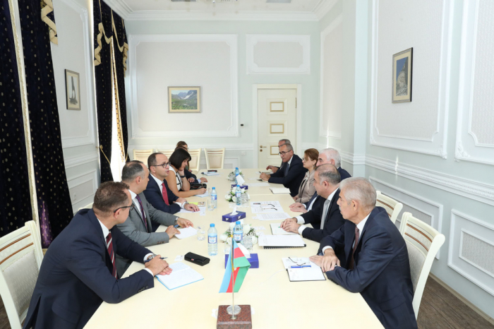 Azerbaijan’s CEC Chairman meets with head of OSCE/ODIHR election observation mission