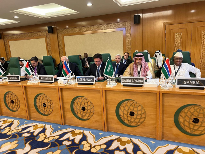 Azerbaijan’s deputy FM takes part in OIC Executive Committee meeting