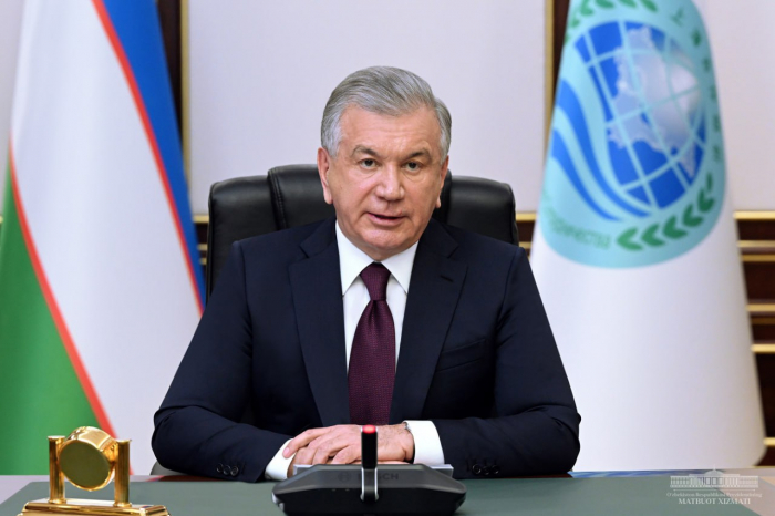 Uzbek president invites Central Asia nations to take united stance at COP29 in Baku