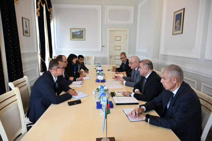 CEC Chairman meets with head of OSCE/ODIHR election observation mission