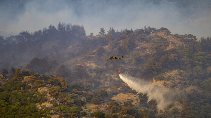 Türkiye battles 247 wildfires in four days - minister