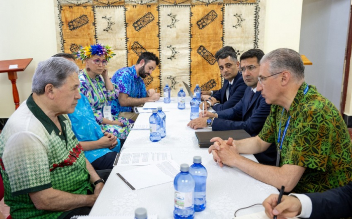 COP29 president-designate meets with New Zealand deputy premier