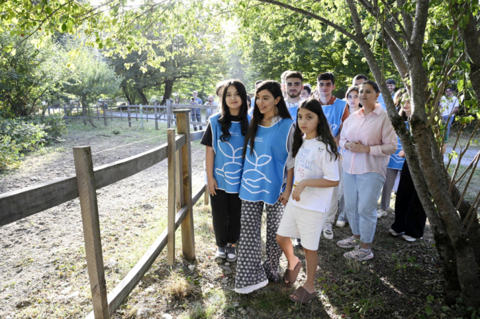  Rare animals released back into the wild in Ismayilli section of Shahdag National Park 