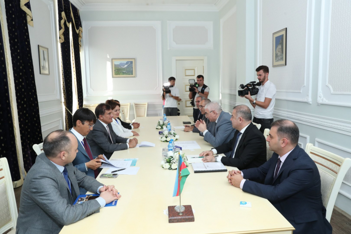   Meeting held between Azerbaijani CEC chair and Organization of Turkic States delegation  