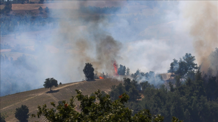 Türkiye contains 304 forest, rural fires in 4 days