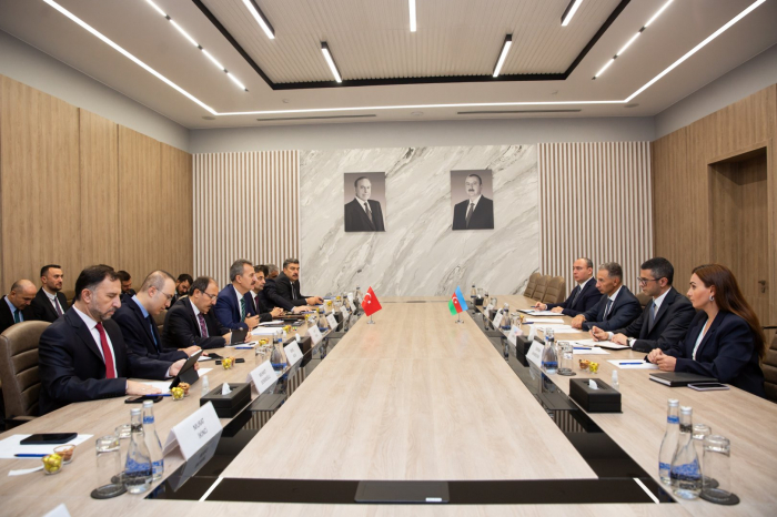 Azerbaijan and Türkiye discuss AI co-op prospects