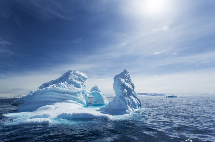 Antarctica faces new threats from invasive species, pollution 