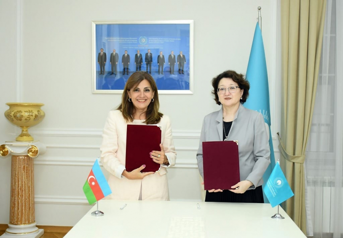 Turkic Culture & Heritage Foundation to support Azerbaijan