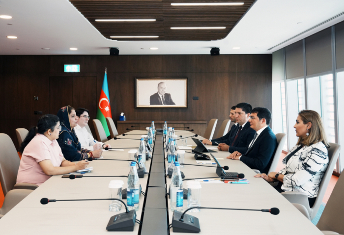 Azerbaijan’s First Deputy Minister of Economy discuss green energy with IPC delegation