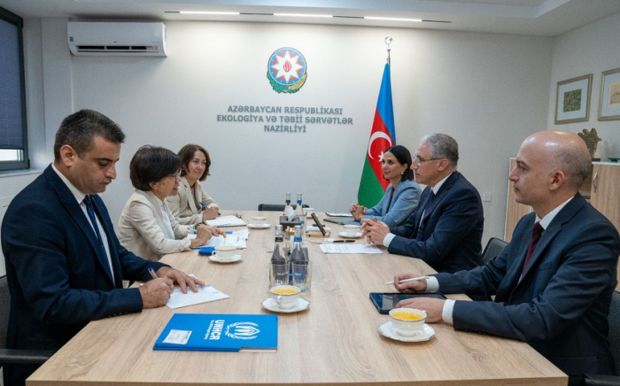 COP29 President, UN official discuss preparations for climate conference