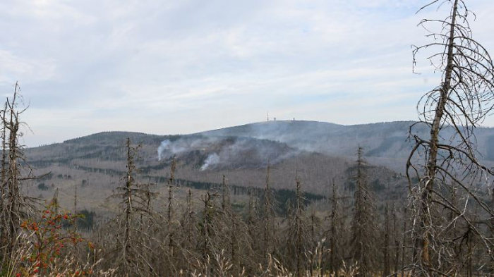 Regen hilft Rettungskräften auf dem Brocken